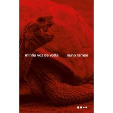 Minha voz de volta