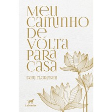 Meu caminho de volta para casa