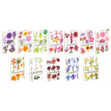 Coleção Cores da Natureza - Completa - 12 Volumes