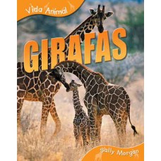 Girafas