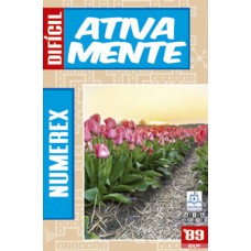 89-Numerex-difícil 89-Numerex-difícil