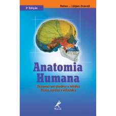 Anatomia humana