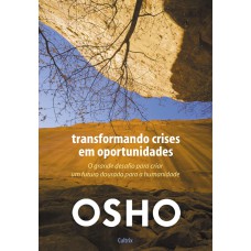 Transformando Crises em Oportunidades